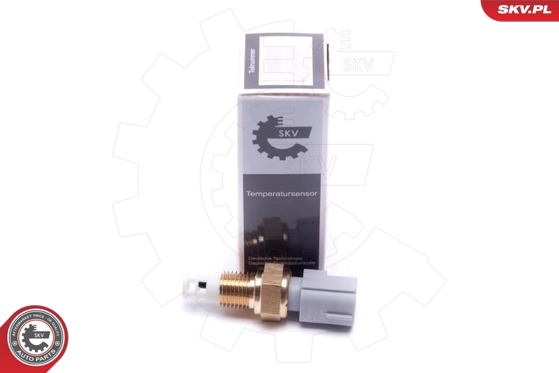 Sensor, intake air temperature